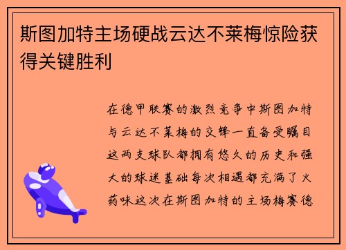 斯图加特主场硬战云达不莱梅惊险获得关键胜利